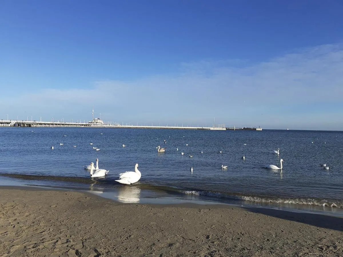 Apartament Chopina 5 M5 - Centrum Sopotu 3 Min Do Monciaka Sopot